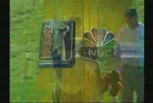 Tiger Woods Professional Golf Swing