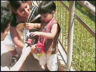 Encuesta en Perú.com: ¿Cuál es tu animal favorito?