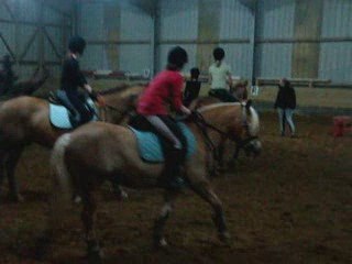 Cours d'obstacle