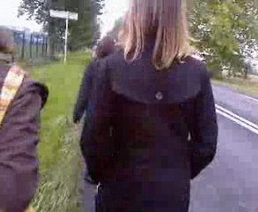 Les Chattons font du Stop à Luçon