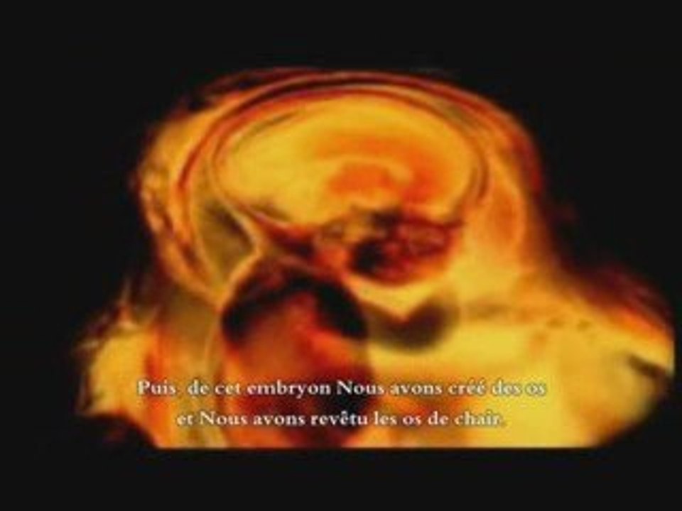 Les étapes de la vie { Sourate Les Croyants versets 12 à 14}