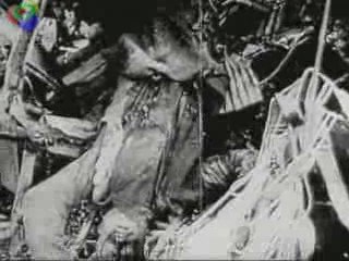 Syrano La marche des géants d'acier