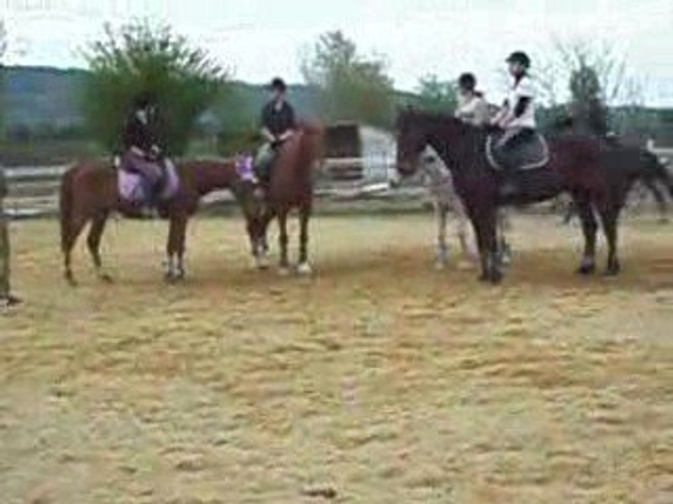 1° parrcours de saut