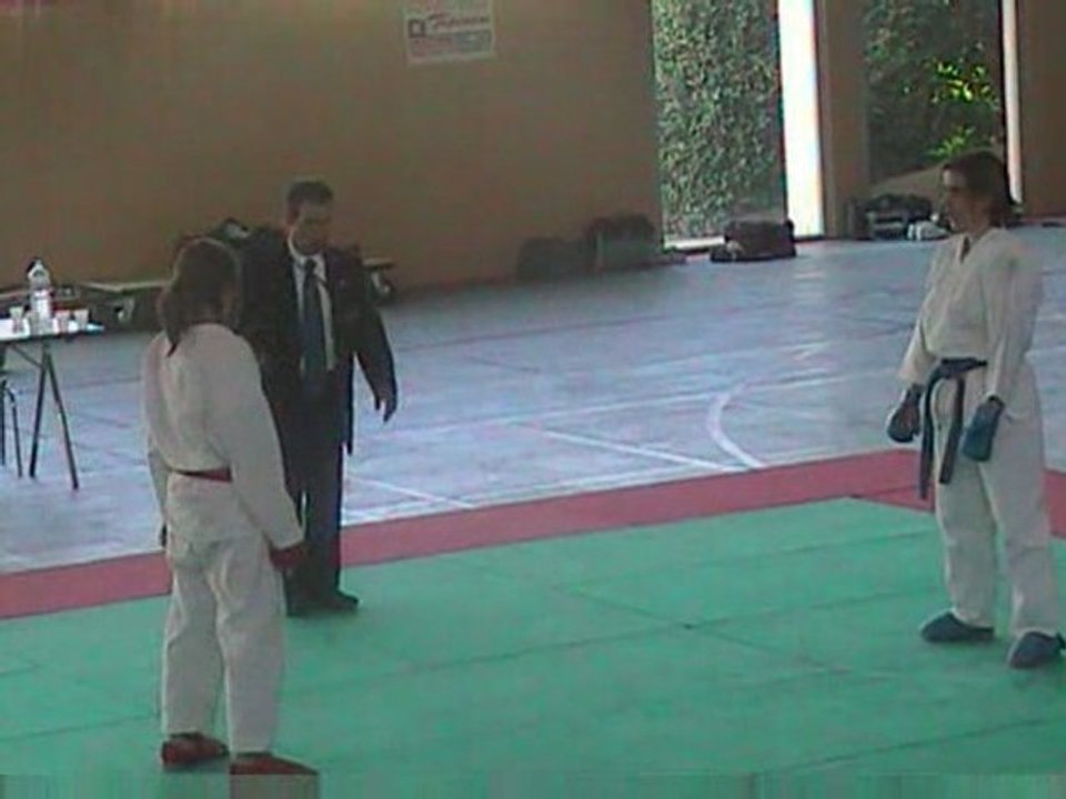KARATE Coupe de Vaucluse 4 avril 2009