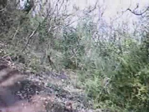 descente vtt du 4 avril 2009