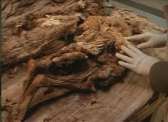 Le mystère des momies incas (3/3)