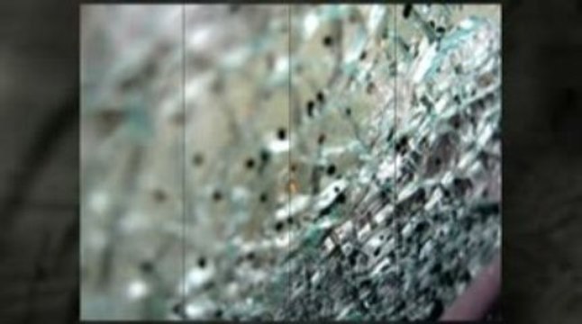 Auto glass repair Kansas City