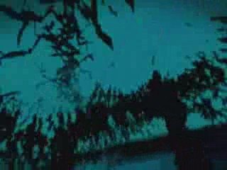 perfect insanity amv