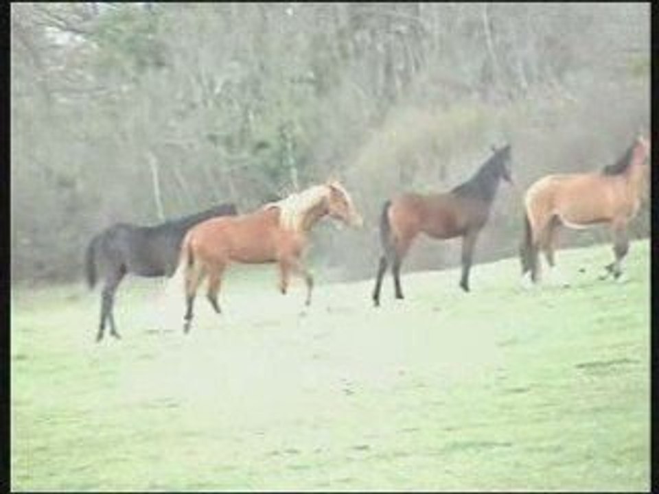 Arrivée UPT_0001