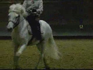 Marie et Ulrich-amazone-laché galop