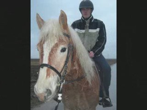 Vidéo bebe nounours cracotte