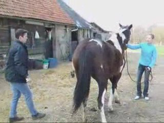 Avril06 2009 ostéo indiana