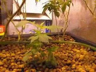 8ème J.d.C_ 1er jour sous 400W(1)