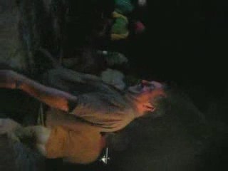 Le top de la danse de la raie léopard