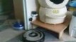 Litière Robot et Robot aspirateur Roomba 560