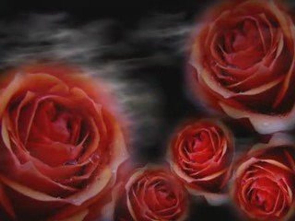Where the wild roses grow