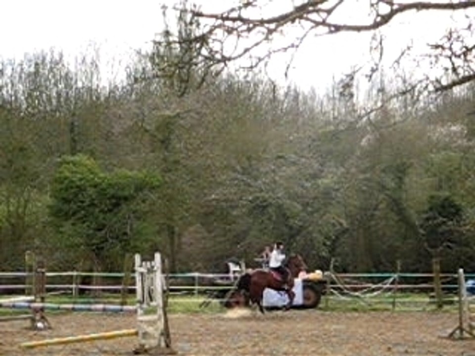 cso entrainement épreuve 90cm