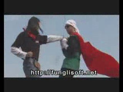 Dragon Ball Z film fans , AWESOME !!!! Sangohan VS C17&C18