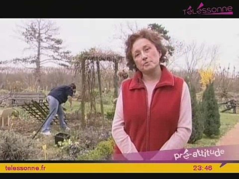 Athis-Mons : Un petit coin de verdure !