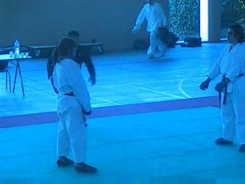 KARATE Coupe de Vaucluse 4 avril 2009