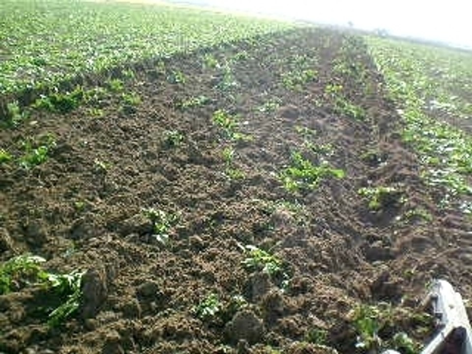 54 C ile tarla sürümü