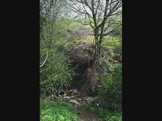 The Daily Digest Video #51