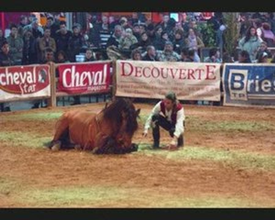 Cabaret equestre Cheval Passion 2009