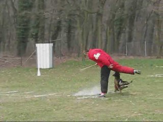 Belle du Clos Champcheny Creutzwald Ring 2 et Chien en Blanc