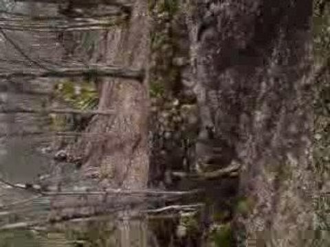 mini road gap ferdrupt vtt dh guillaume