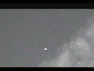 ufo.Orb accidently harms bird  Video