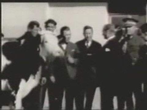 mustafa kemal atatürk ankara atatürk orman çiftliği