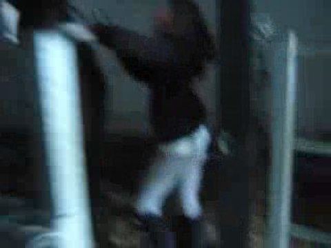 Présentation des poons