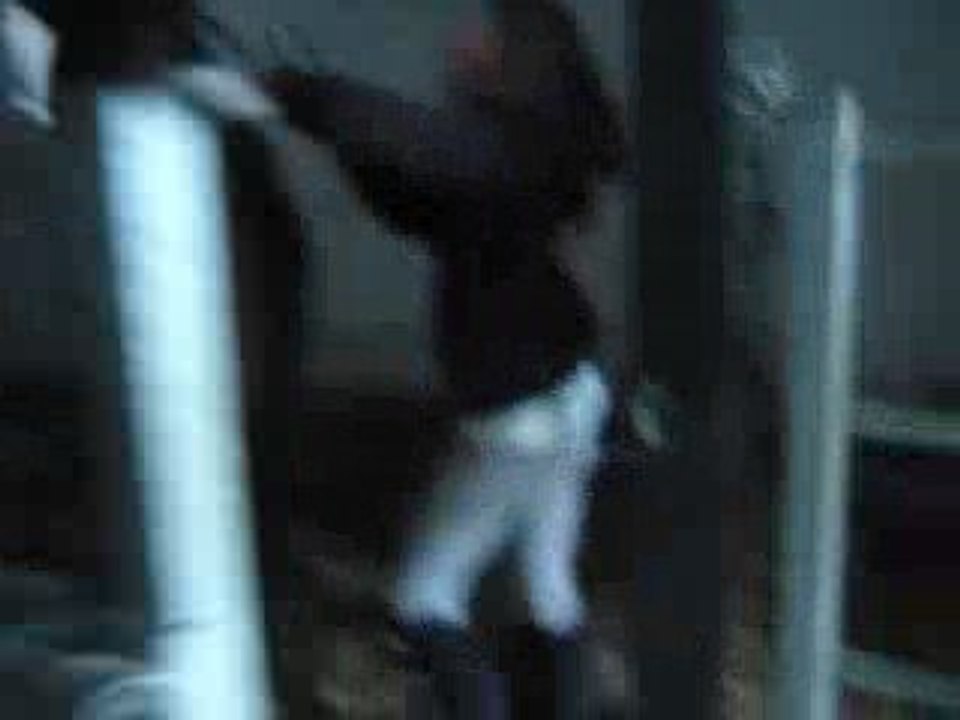 Présentation des poons