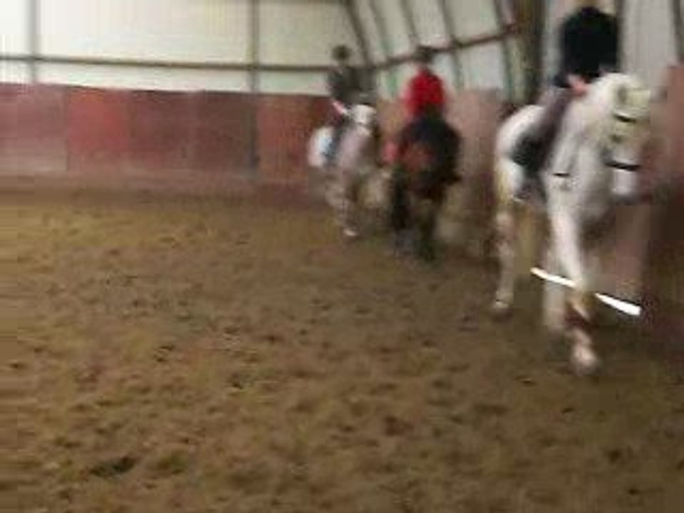 Galop 5-6