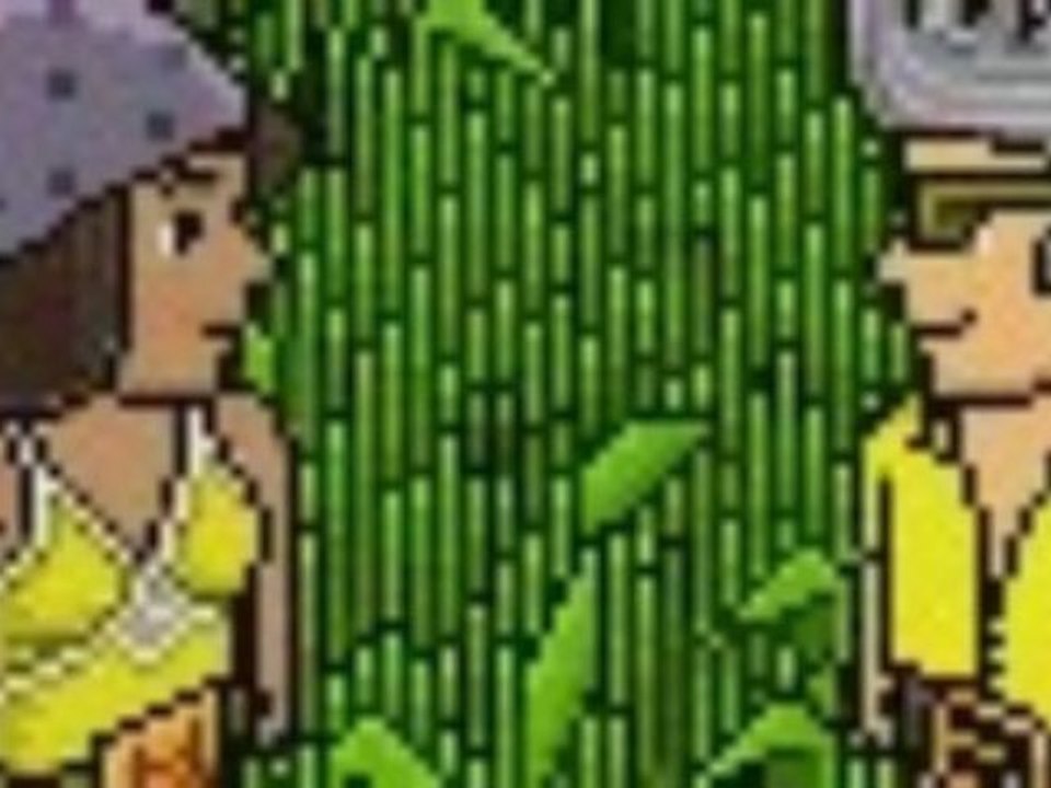 Pub Habbo