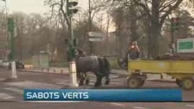 CHEVAUX DE TRAIT DANS LES JARDINS PARISIENS (Vincennes)