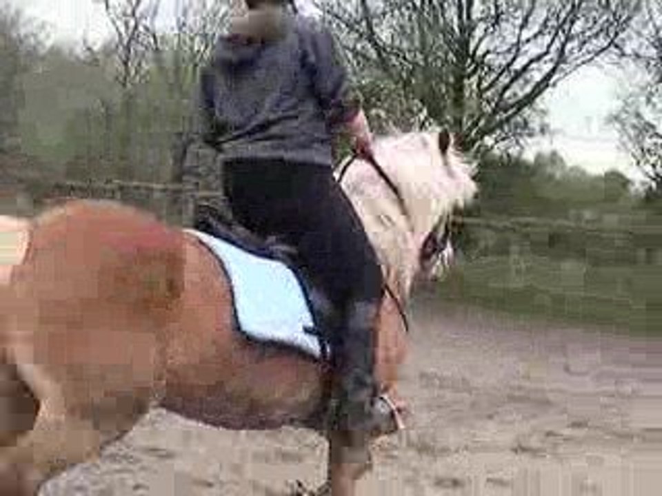 lisa oxer