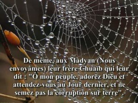 Sourate 29 L'araignèe (Al-Ankabut) récitée par Fares Abbad