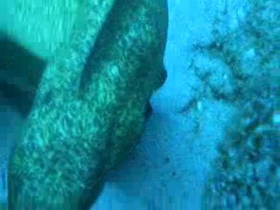DSCN0489