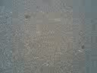 Gros délire à thomas xD