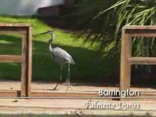 Barrington Rentals - Hilton Head Island