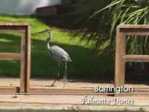 Barrington Rentals - Hilton Head Island