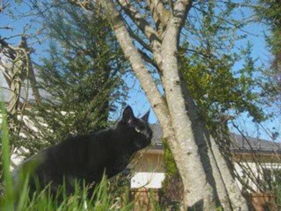 Photos de Djeny (Février 2009 à Avril 2009)