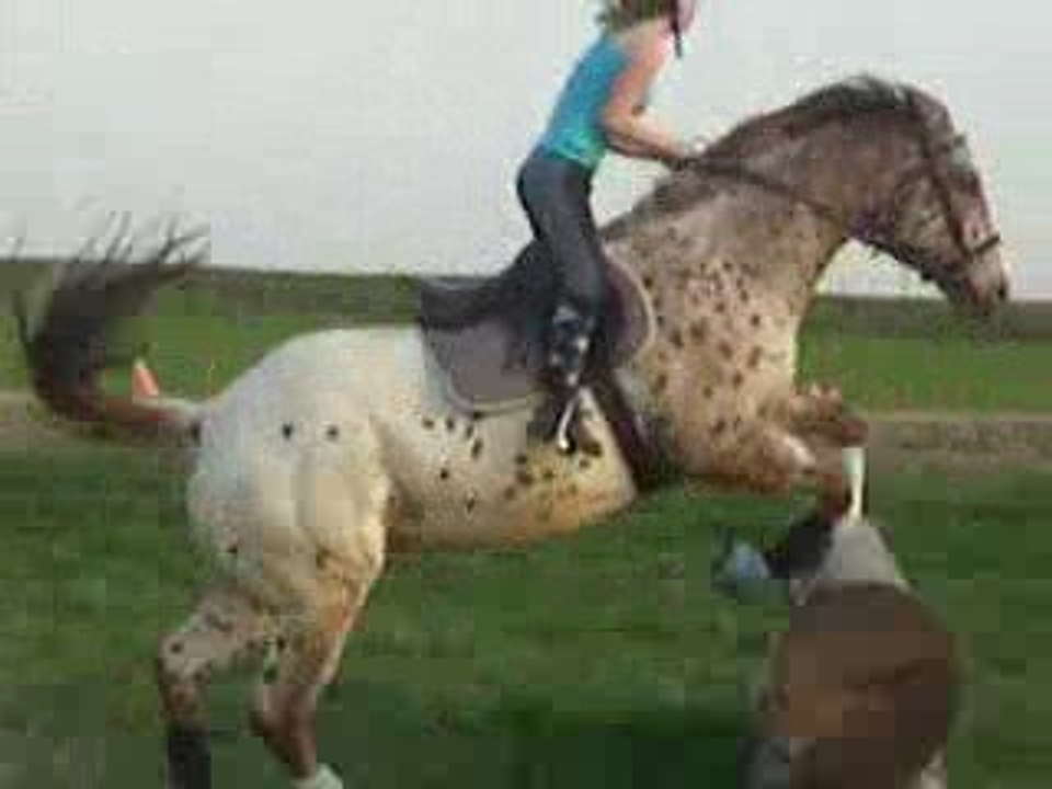 Moi sur prince o9.o4.2oo9 !!!