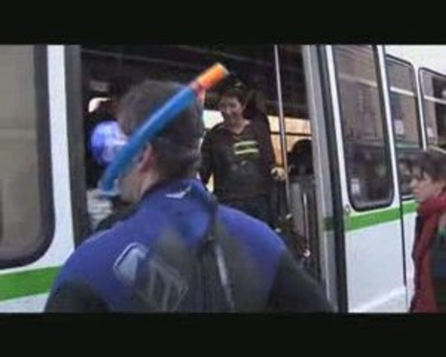 Deux grenouilles migrantes vues à Nantes