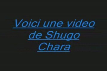 Shugo Chara