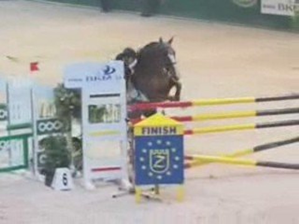 horses -hit the floor-