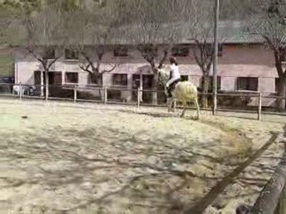 concours dressage wendy et indien