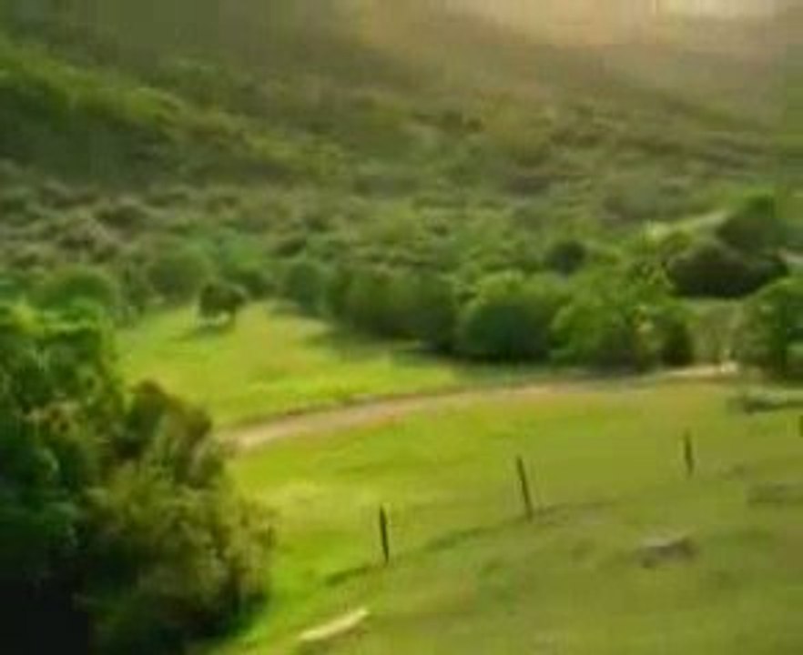 Ame sensible s'abstenir...