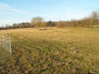 Denis s'entraine au pousse, mars